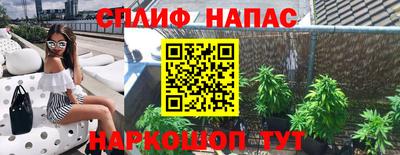 гашик Кулебаки